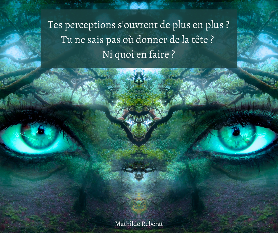 You are currently viewing OUVERTURE DES PERCEPTIONS