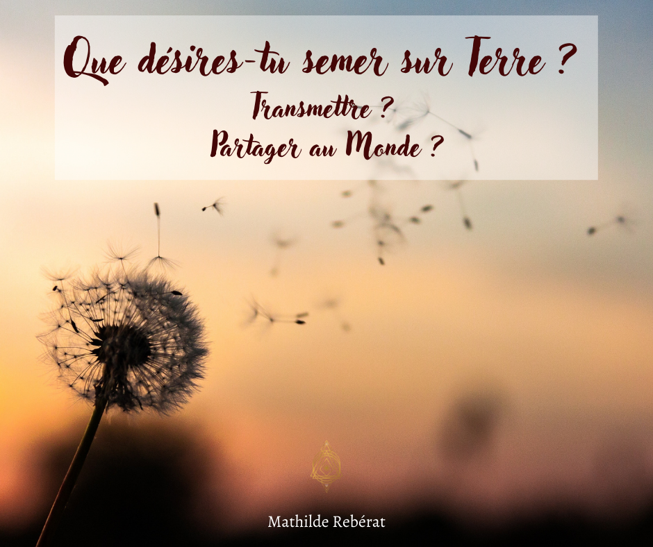 You are currently viewing QUE DESIRES-TU SEMER AU MONDE ?